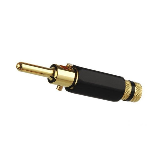 BP-283G